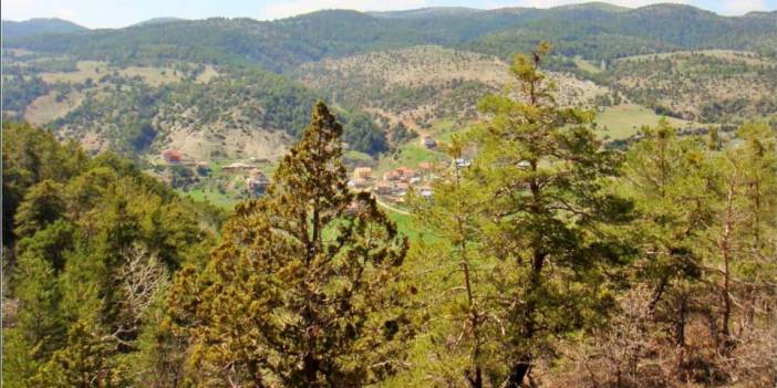 Akdağmadeni Gümüşdibek Köyü Resimleri