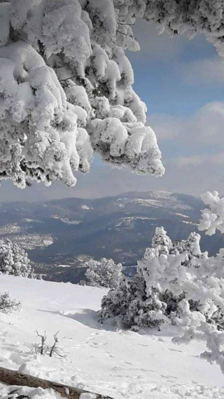 Akdağmadeni Halhacı Köyü Resimleri 11