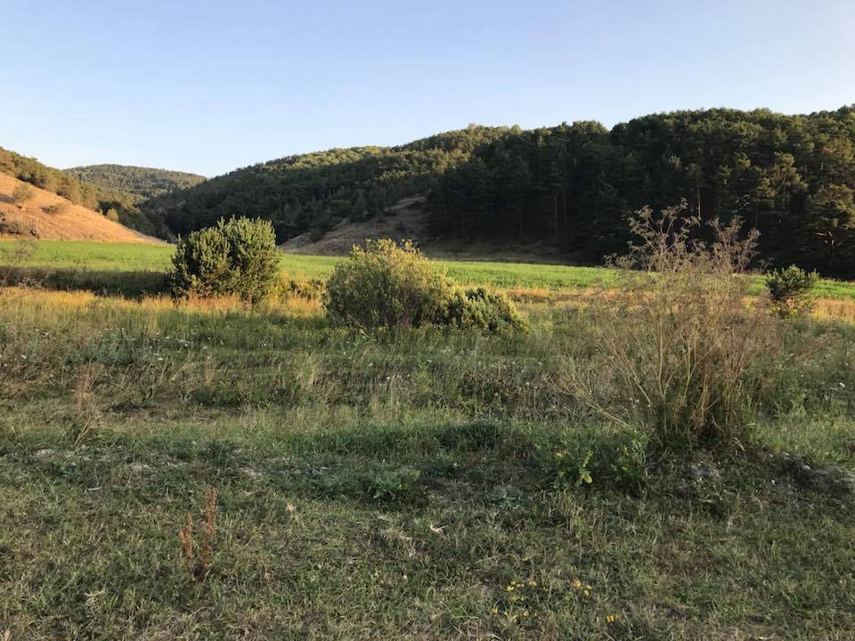 Akdağmadeni Halhacı Köyü Resimleri 2