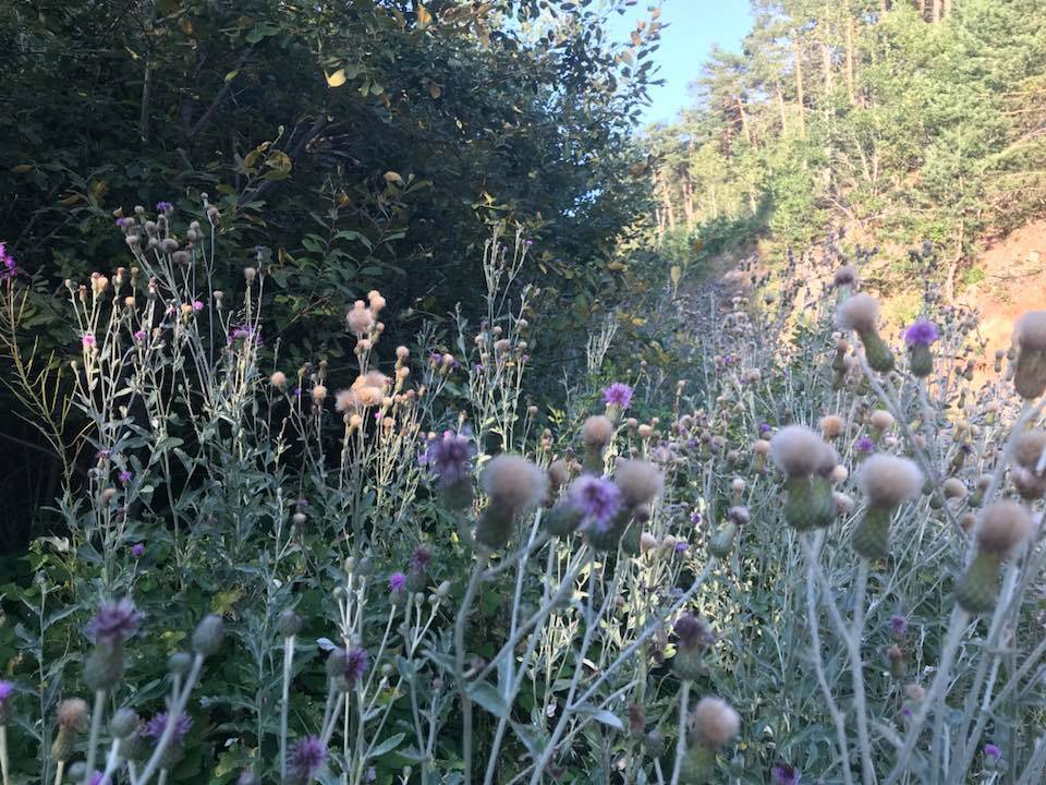 Akdağmadeni Halhacı Köyü Resimleri 3