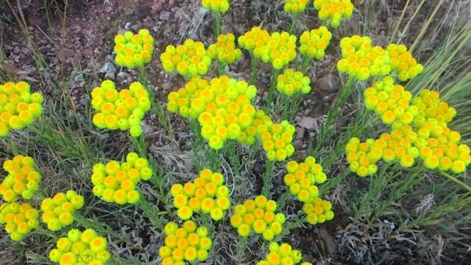 Akdağmadeni Kızılcaova Köyü Resimleri 6