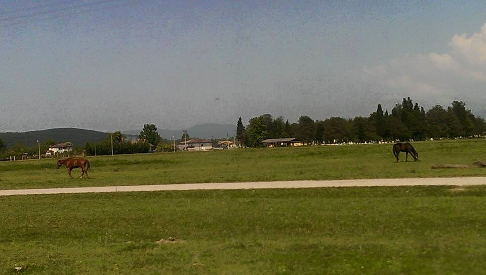 Söğütlü Maksudiye Köyü Resimleri 1