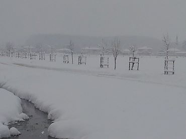 Söğütlü Maksudiye Köyü Resimleri 3