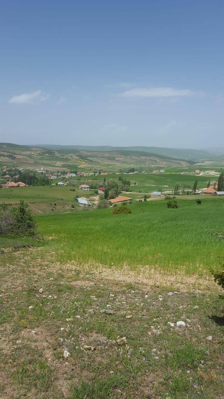 Akdağmadeni Üçkaraağaç Köyü Resimleri 1