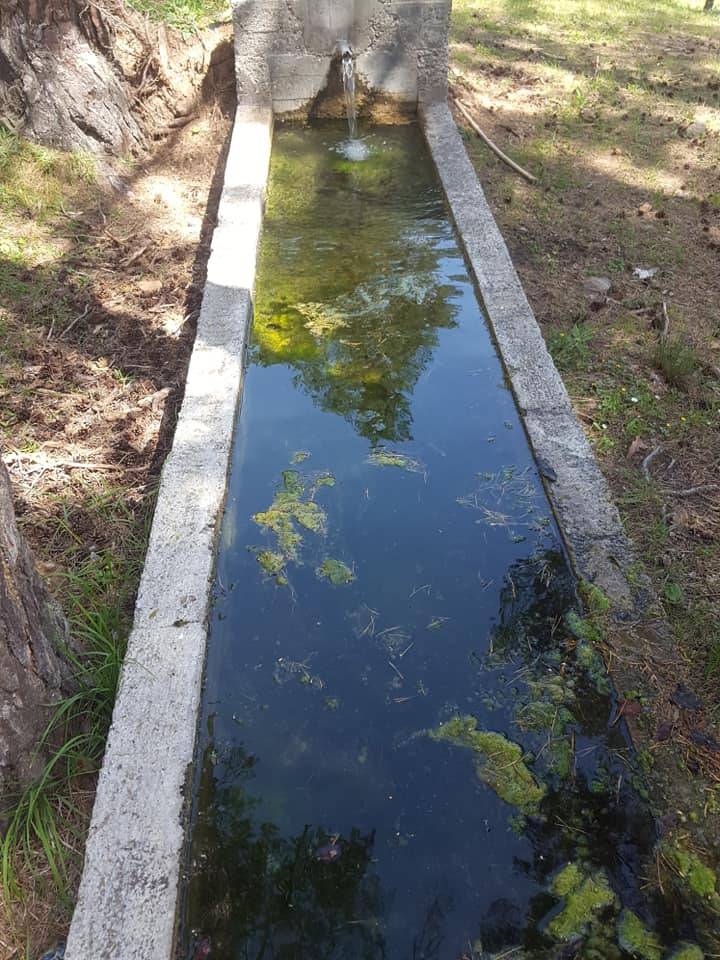 Akdağmadeni Üçkaraağaç Köyü Resimleri 2