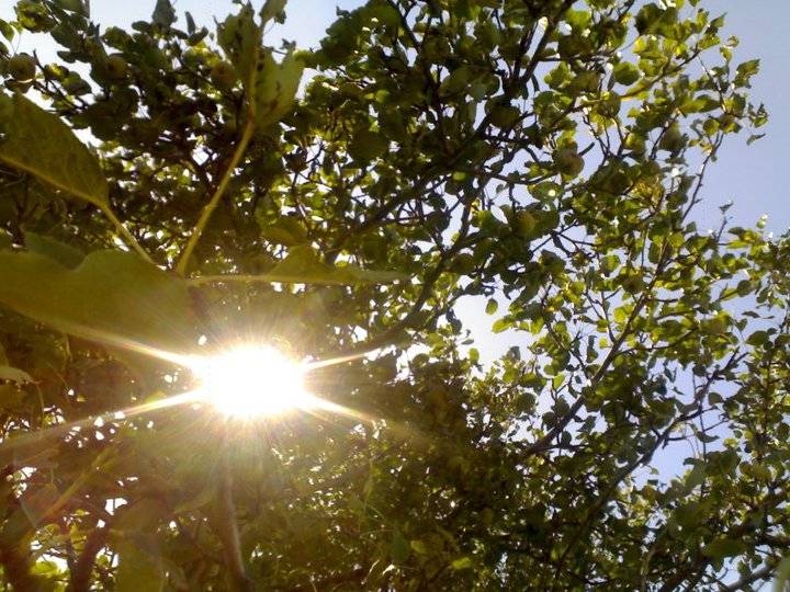 Akdağmadeni Yeniyapan Köyü Resimleri 13