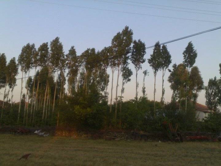 Akdağmadeni Yeniyapan Köyü Resimleri 15