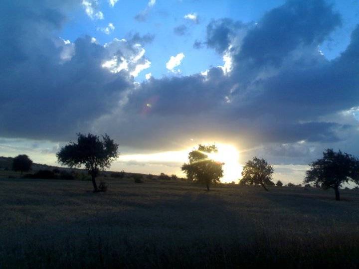 Akdağmadeni Yeniyapan Köyü Resimleri 18