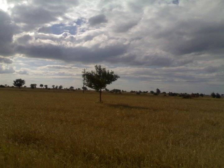 Akdağmadeni Yeniyapan Köyü Resimleri 6