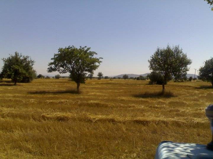 Akdağmadeni Yeniyapan Köyü Resimleri 7