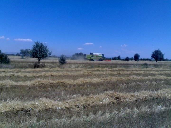 Akdağmadeni Yeniyapan Köyü Resimleri 8