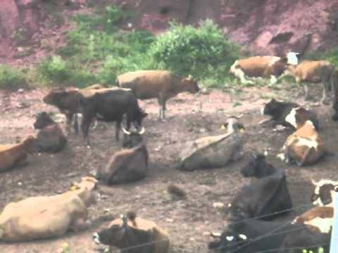 Aydıncık Büyüktoraman Köyü Resimleri 1