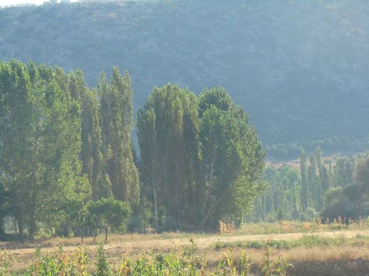 Aydıncık Hacıilyas Köyü Resimleri 7