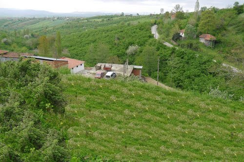 Söğütlü Tokmaklıdere Köyü Resimleri 6