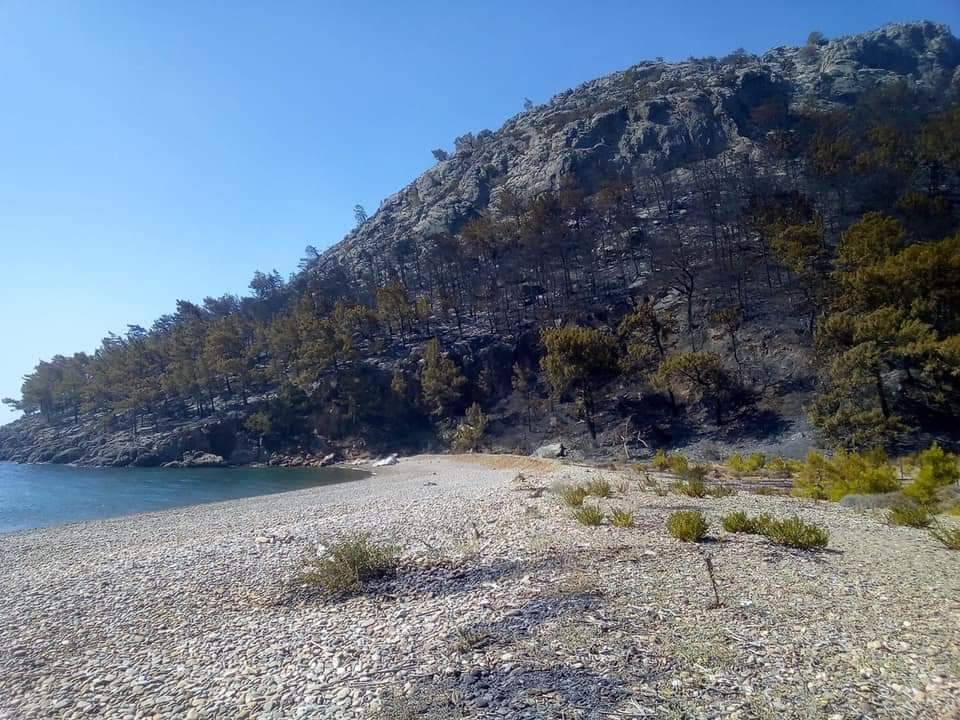 Bozyazı Ustalar Köyü Resimleri 13