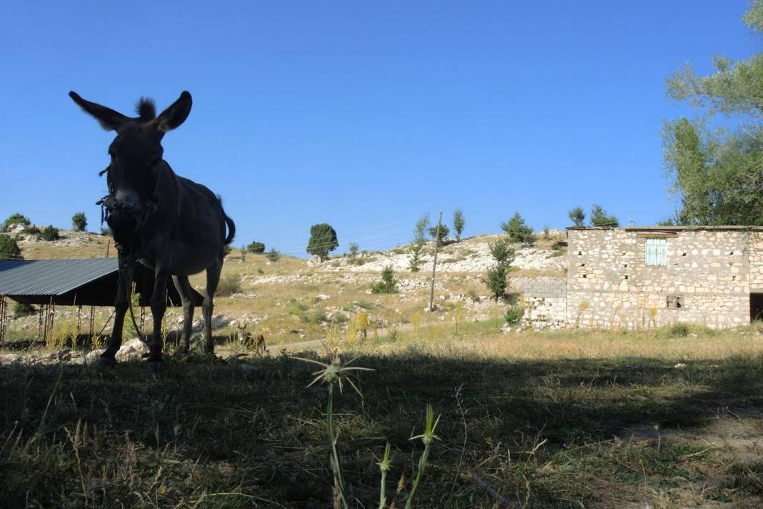 Bozyazı Ustalar Köyü Resimleri 4