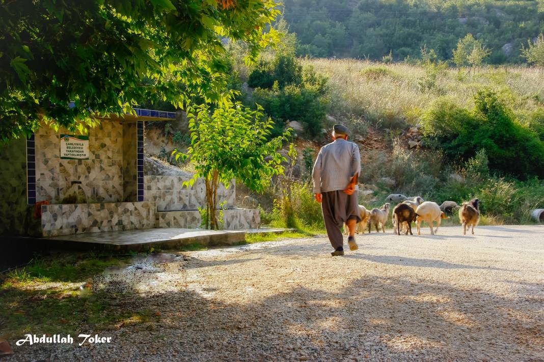 Çamlıyayla Cumayakası Köyü Resimleri 10