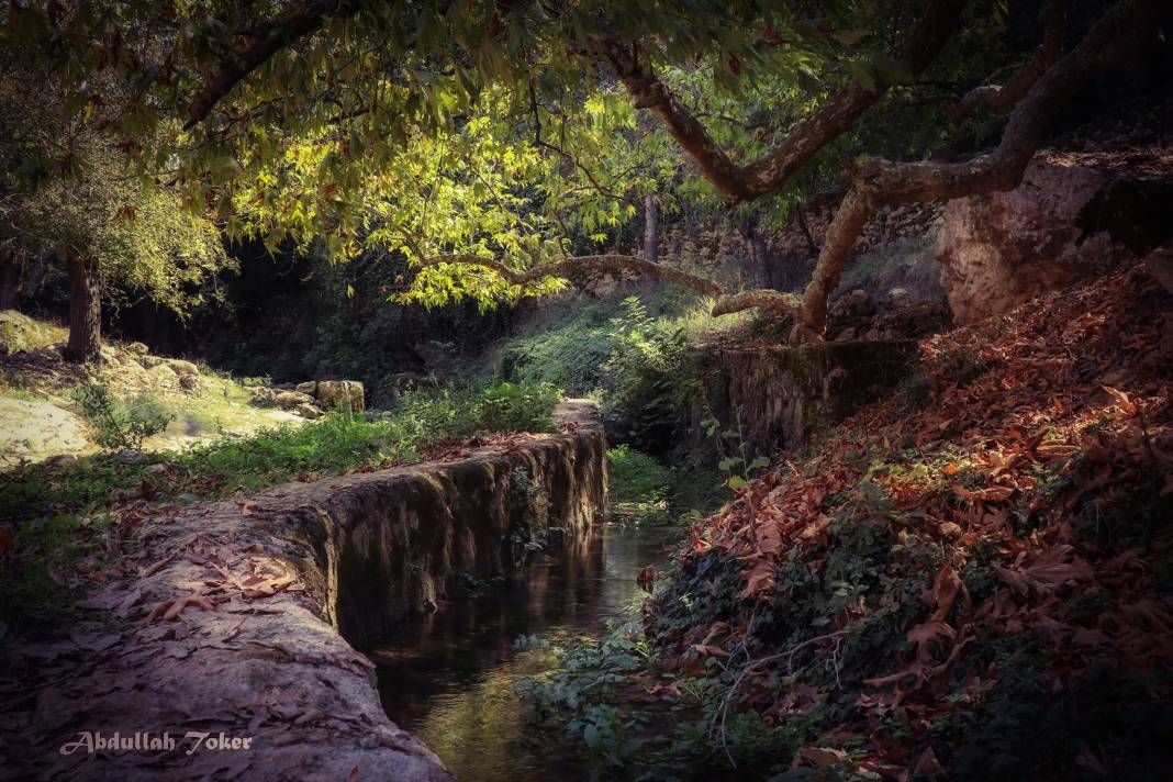 Çamlıyayla Cumayakası Köyü Resimleri 13