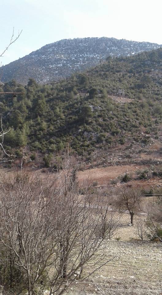 Çamlıyayla Cumayakası Köyü Resimleri 8