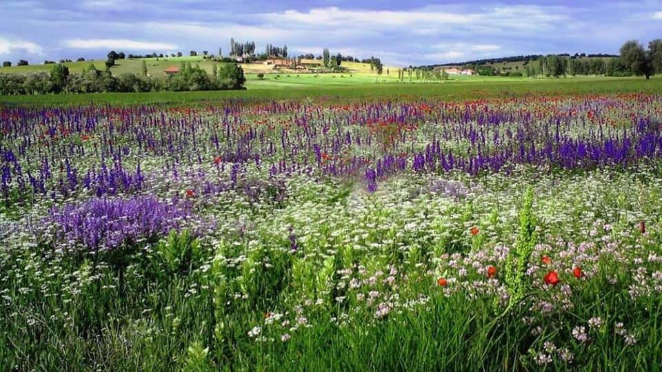 Çayıralan Alidemirci Köyü Resimleri 4