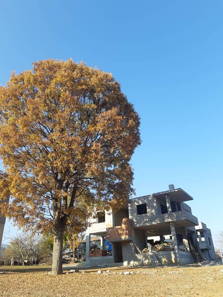 Çamlıyayla Giden Köyü Resimleri 12