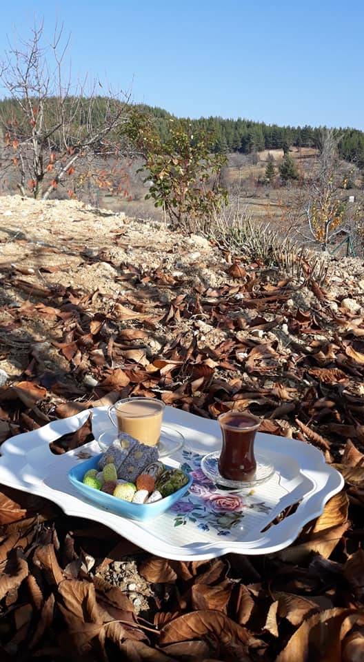 Çamlıyayla Giden Köyü Resimleri 13
