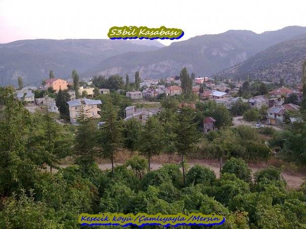 Çamlıyayla Sebil Köyü Resimleri 1