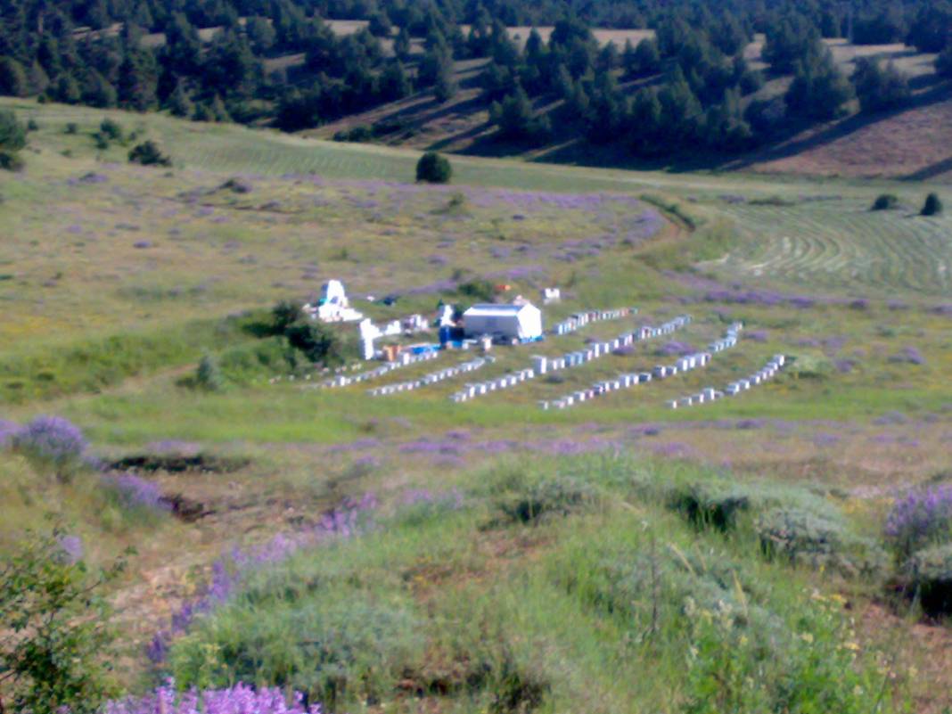 Çayıralan Avşaralanı Köyü Resimleri 1