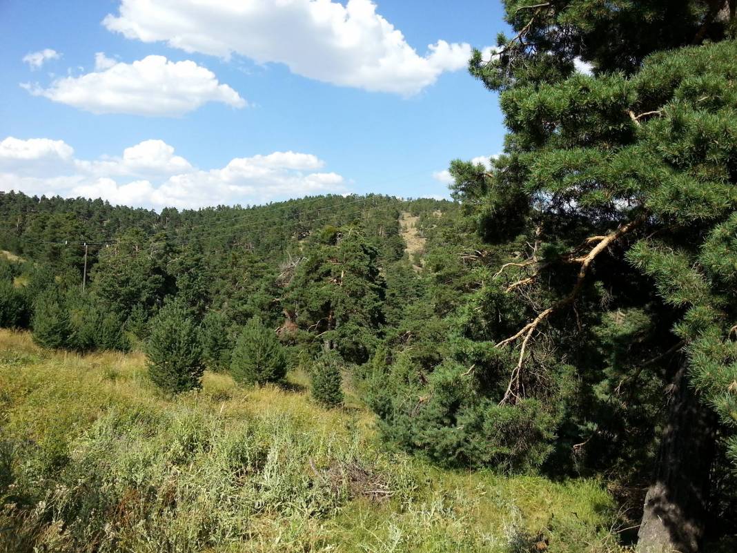 Çayıralan Avşaralanı Köyü Resimleri 2