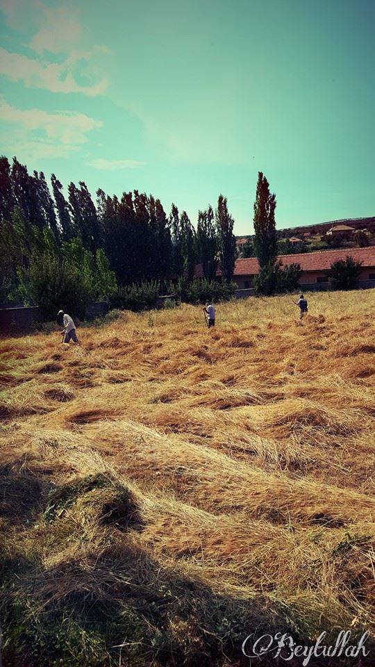 Çayıralan Derekemal Köyü Resimleri 10