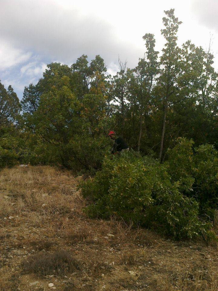 Çayıralan Derekemal Köyü Resimleri 8