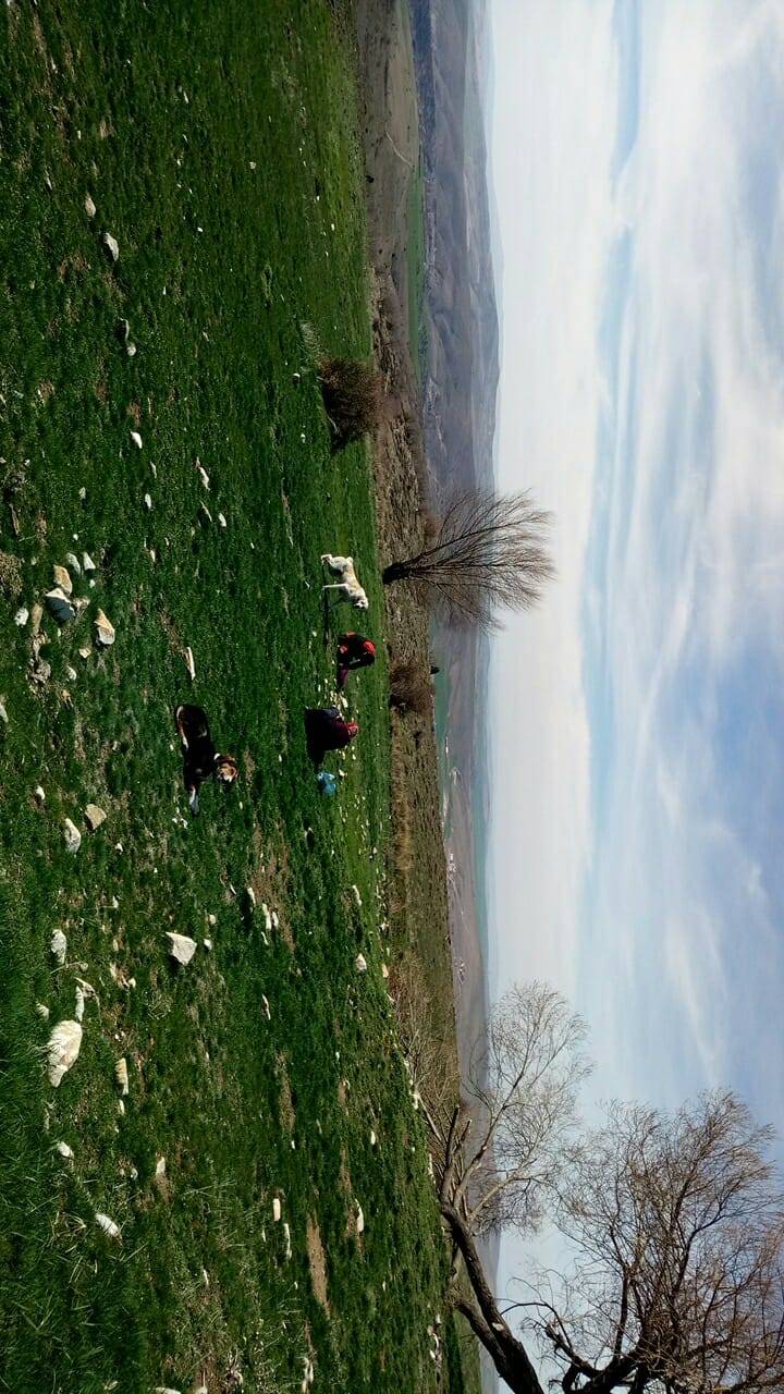 Çayıralan Elçi Köyü Resimleri 2