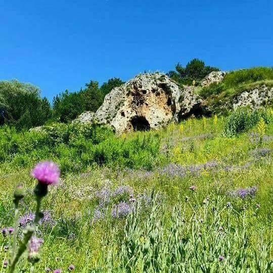 Çayıralan İnönü Köyü Resimleri 6