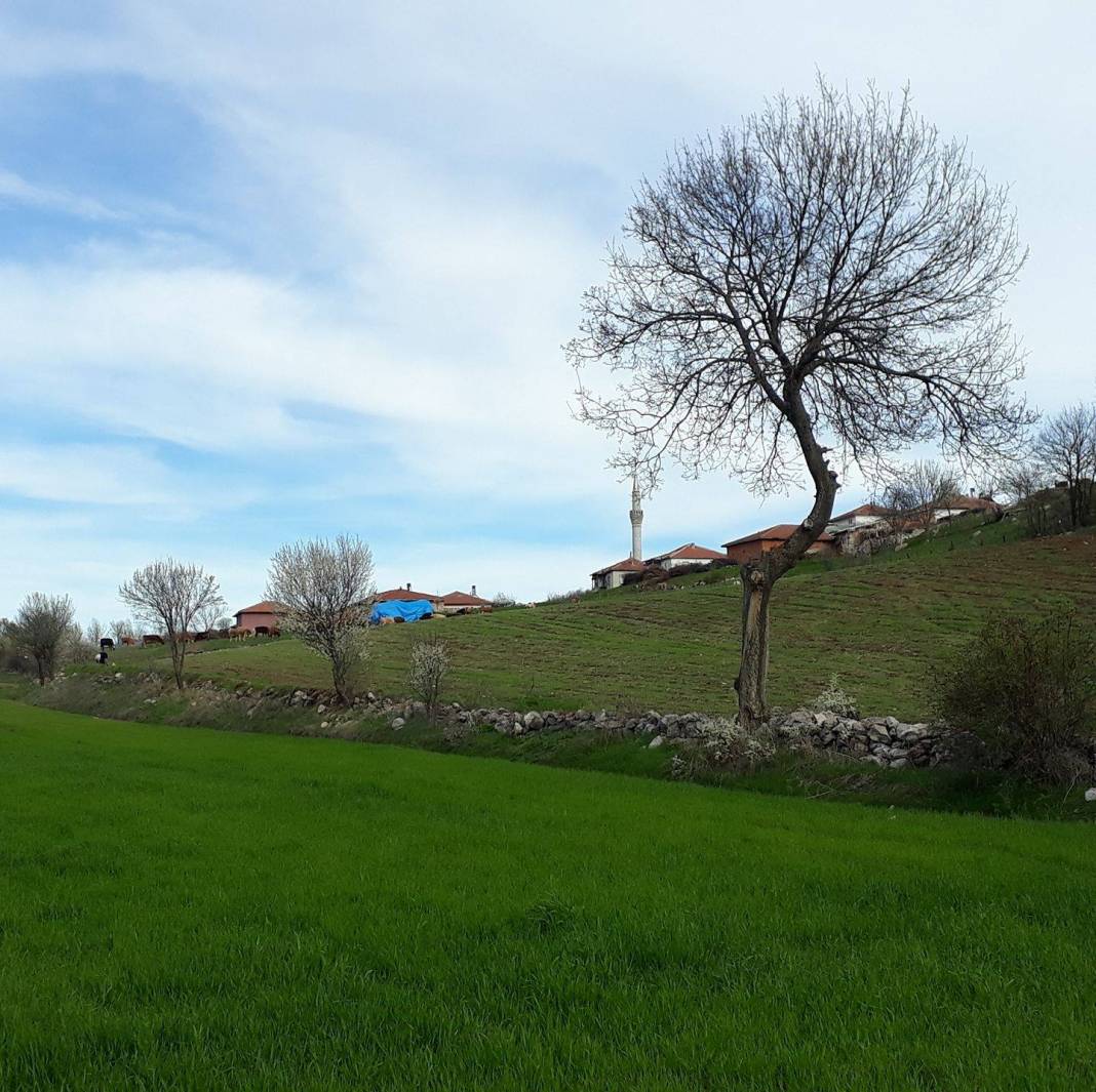 Çekerek Başpınar Köyü Resimleri 9