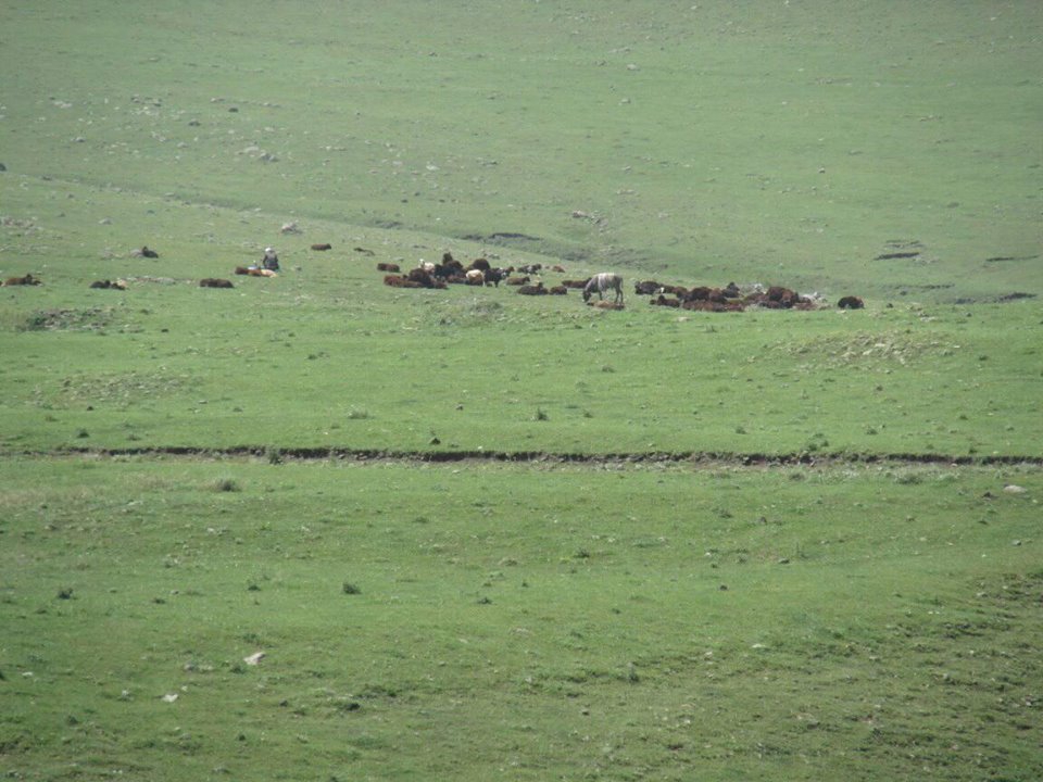 Ardahan Ağzıpek Köyü Resimleri 3