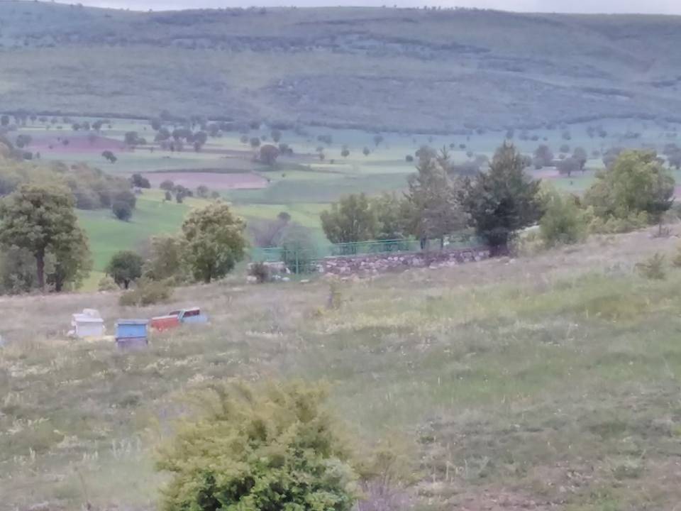 Çekerek Doğanoğlu Köyü  Resimleri 6