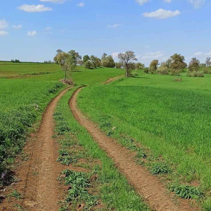 Çekerek İkizce Köyü Resimleri 7
