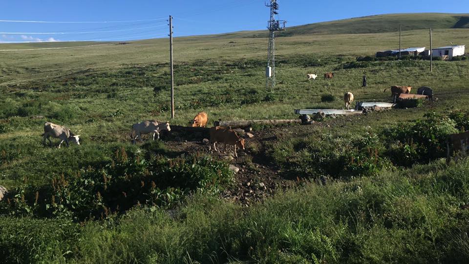 Ardahan Akyaka Köyü Resimleri 10