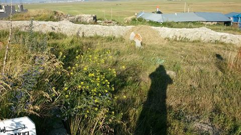 Ardahan Akyaka Köyü Resimleri 11