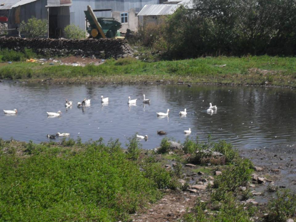 Ardahan Akyaka Köyü Resimleri 6