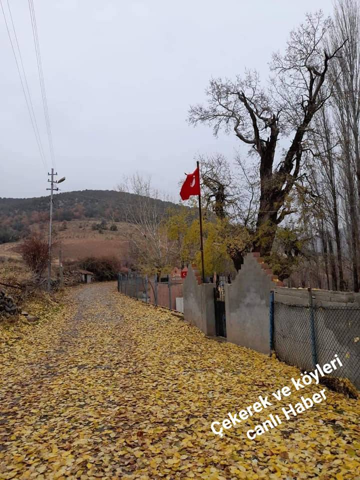 Çekerek Kamışcık Köyü Resimleri 5