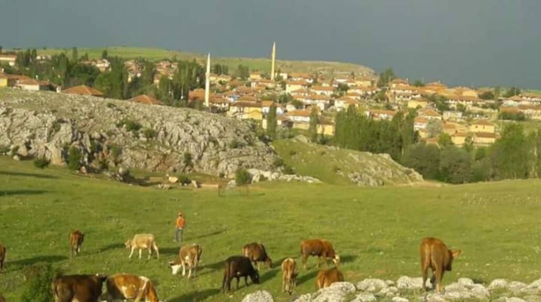 Çekerek Kayalar Köyü Resimleri 6