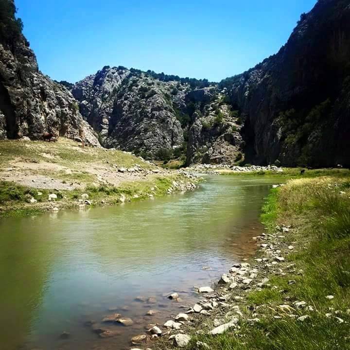 Çekerek Kırkdilim Köyü Resimleri 2