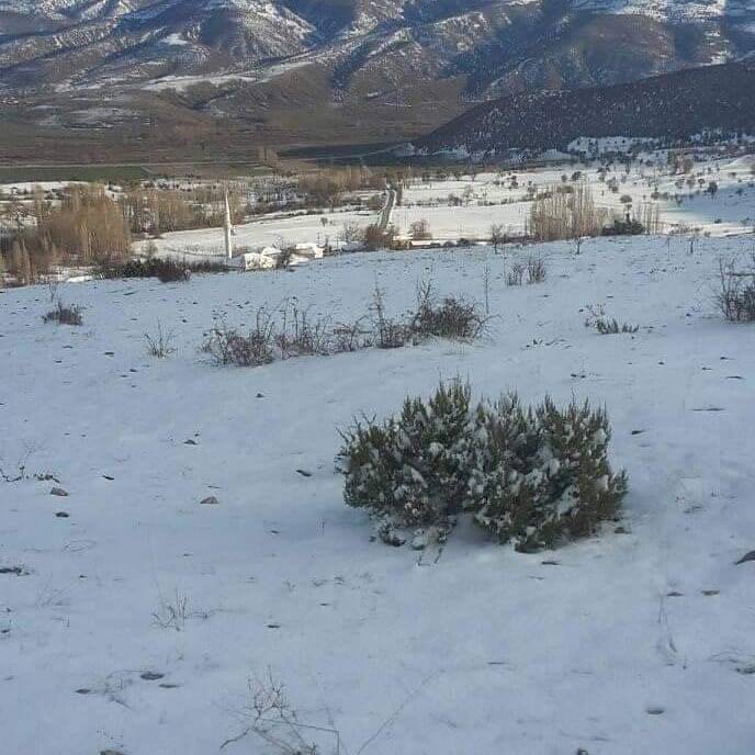 Çekerek Özüveren Köyü Resimleri 14