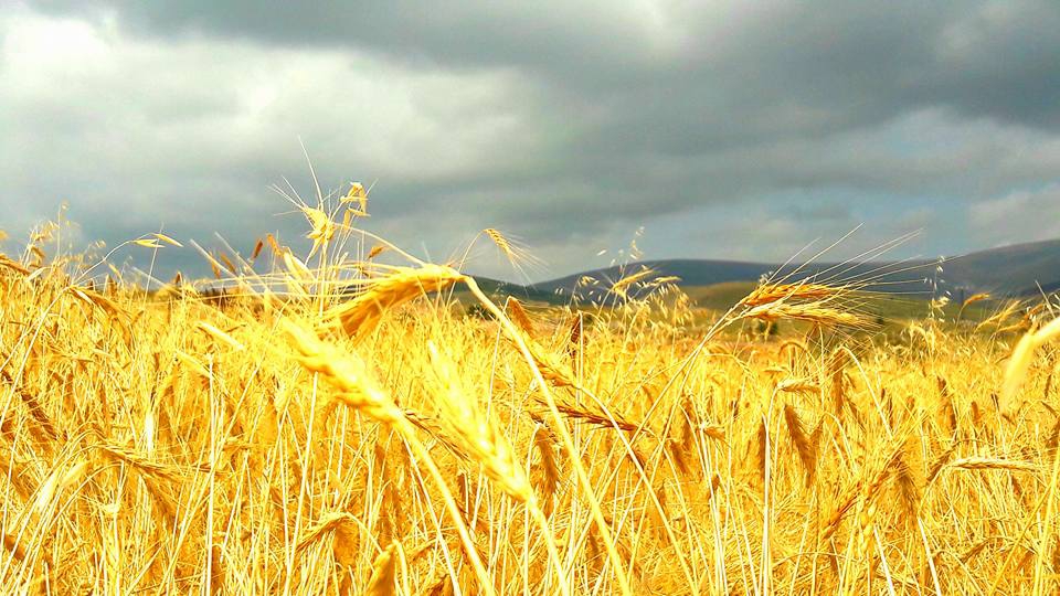 Ardahan Altaş Köyü Resimleri 1