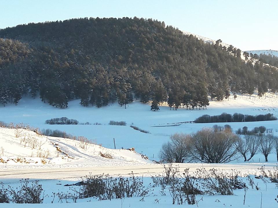 Ardahan Altaş Köyü Resimleri 10