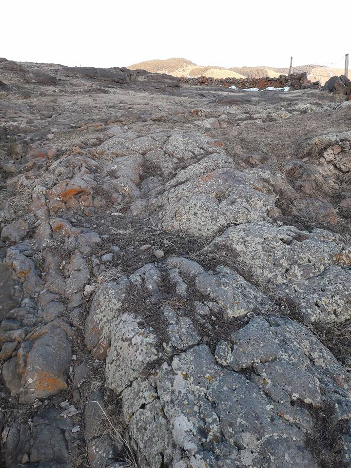 Ardahan Altaş Köyü Resimleri 7