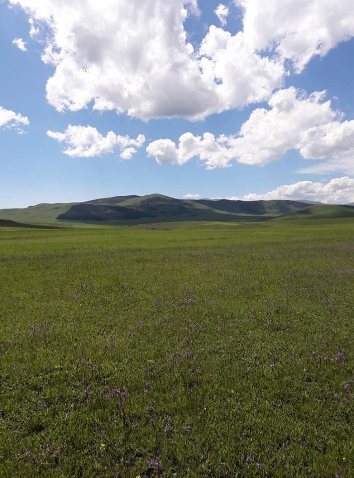 Ardahan Altaş Köyü Resimleri 8