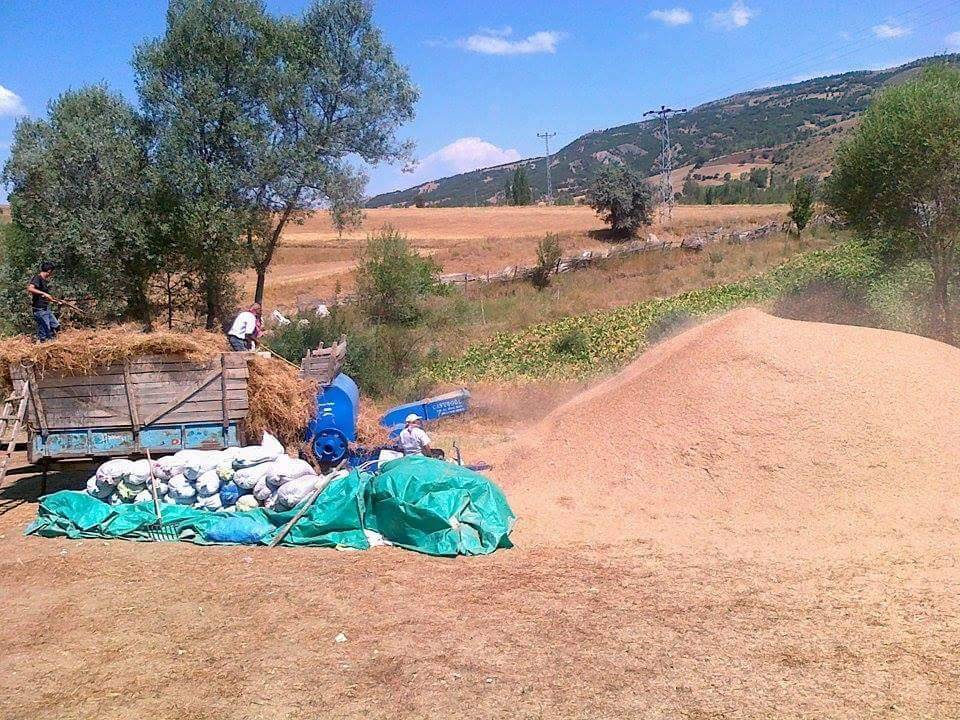 Kadışehri Dikmesöğüt Köyü Resimleri 1