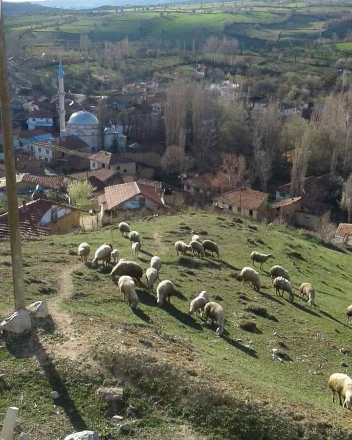 Kadışehri Dikmesöğüt Köyü Resimleri 2